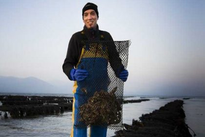 Opus Restaurant Carlingford rock oysters offer!