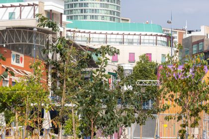 National Trust Creates Tree Oasis at Heart of City Centre Site