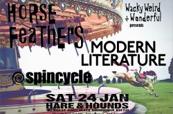 Four-piece Spincycle offer an ‘instrumental psychedelic experience