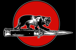 JIM JONES ALL STARS – Announce BIRMINGHAM Gig in APRIL Touring New Album