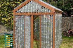 Pupils join forces with local Rotarians for eco-greenhouse project