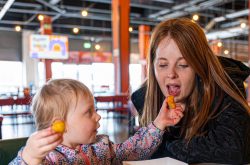KIDS EAT FREE AT ALFRED WORKS THIS SUMMER