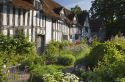 Community Open Days at Mary Arden’s Farm this summer