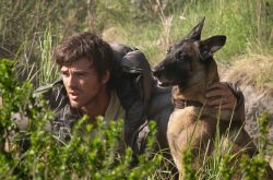 Films from Fri 28 Aug by Mike Davies