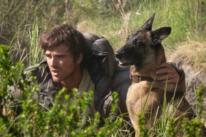 Films from Fri 28 Aug by Mike Davies