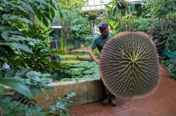 Birmingham Botanical Gardens celebrates 175-year story behind its giant waterlilies