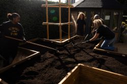 New Physic Garden takes root at Birmingham Botanical Gardens in partnership with Birmingham City University